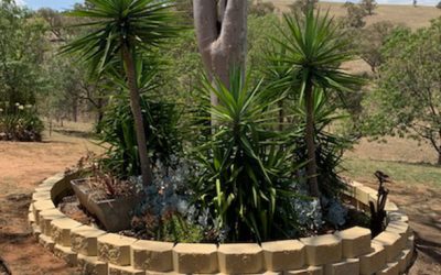 Norfolk block sandstone tree ring and planter